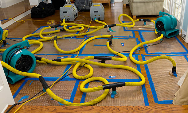 Professional Sewage Cleanup technician working in Augusta, AR